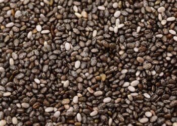 Essa famosa semente no mudo pode ter nutrientes essenciais e acabar com a sua fome