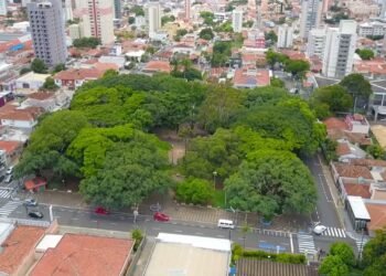 Essa cidade de SP tem ensino de ponta e é sonho de quem vai fazer faculdade