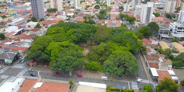 Essa cidade de SP tem ensino de ponta e é sonho de quem vai fazer faculdade