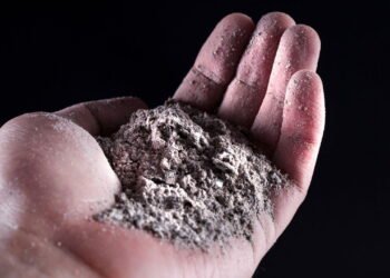 Poucos sabem: qual o sentido de jogar cinzas no solo das plantas