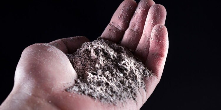 Poucos sabem: qual o sentido de jogar cinzas no solo das plantas