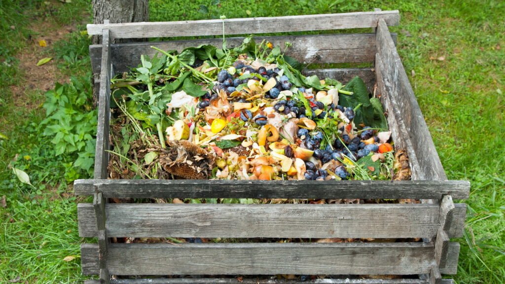 Papel de jornal vira ouro para o jardim e turba o cultivo de temperos