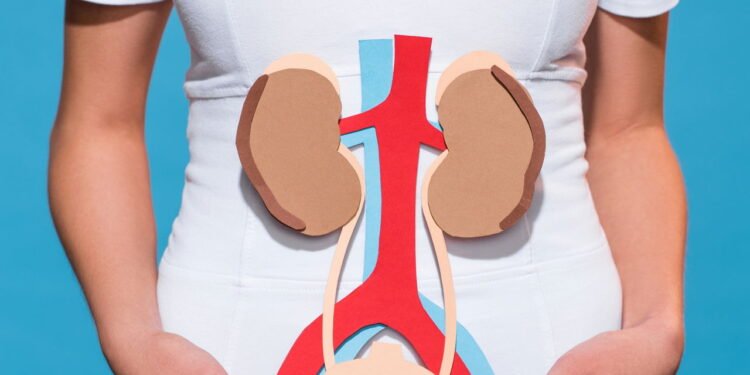 Você sabia que seu corpo tem mais micróbios do que células