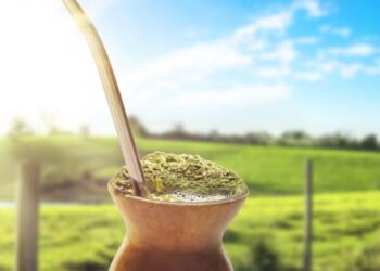 A planta poderosa que traz energia, disposição e vitalidade ao corpo