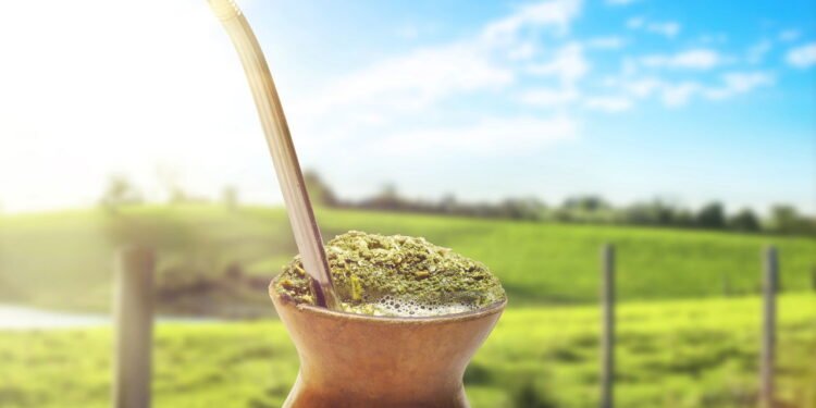 A planta poderosa que traz energia, disposição e vitalidade ao corpo