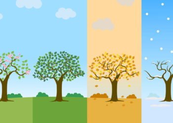 Como fortalecer a imunidade durante mudanças de estação?