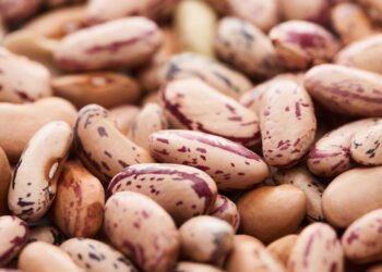 Comer feijão pode adicionar anos à sua vida, especialmente esses 5 tipos
