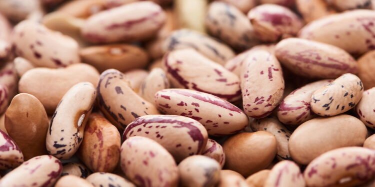 Novo estudo revela alimento negligenciado com grandes benefícios à saúde: 'As pessoas seriam muito mais saudáveis'