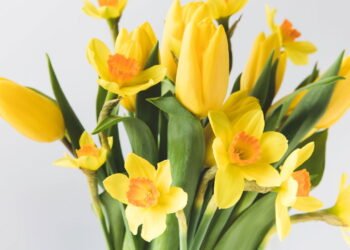 Onde colocar flores amarelas em casa para atrair alegria e energia positiva