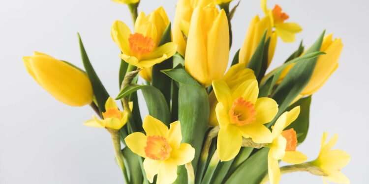 Flores amarelas - Créditos: depositphotos.com / AntonMatyukha