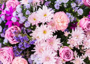 Qual flor representa seu signo do zodíaco e por quê