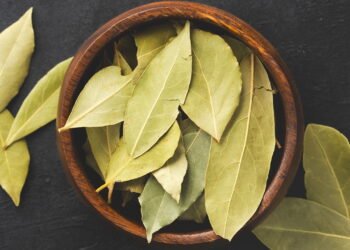 Onde armazenar uma folha de louro para atrair abundância, de acordo com o Feng Shui