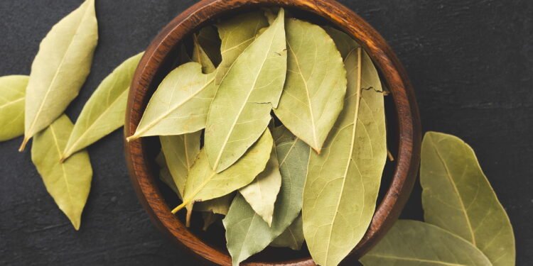 Onde armazenar uma folha de louro para atrair abundância, de acordo com o Feng Shui