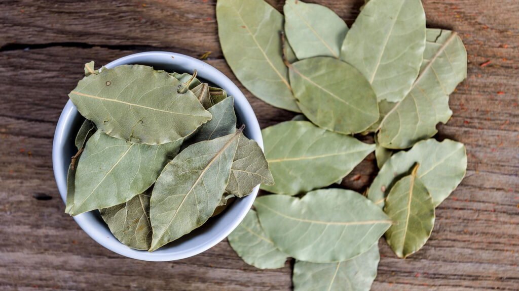 Onde armazenar uma folha de louro para atrair abundância, de acordo com o Feng Shui
