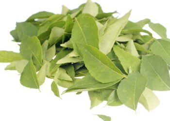 Benefícios para a saúde de comer folhas de caril com o estômago vazio