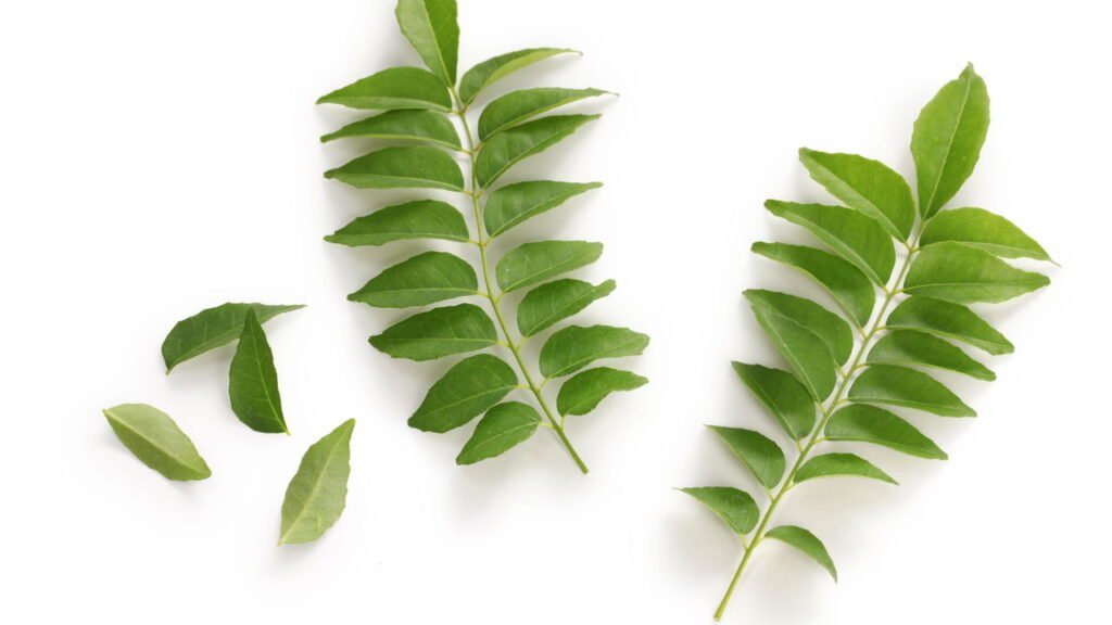 Benefícios para a saúde de comer folhas de caril com o estômago vazio