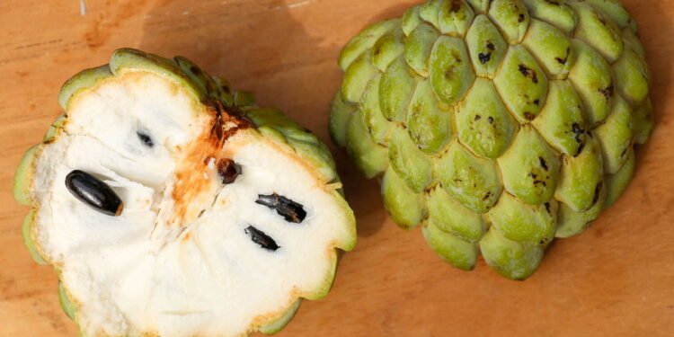 Fruta-do-Conde - Créditos: depositphotos.com / Koop1234