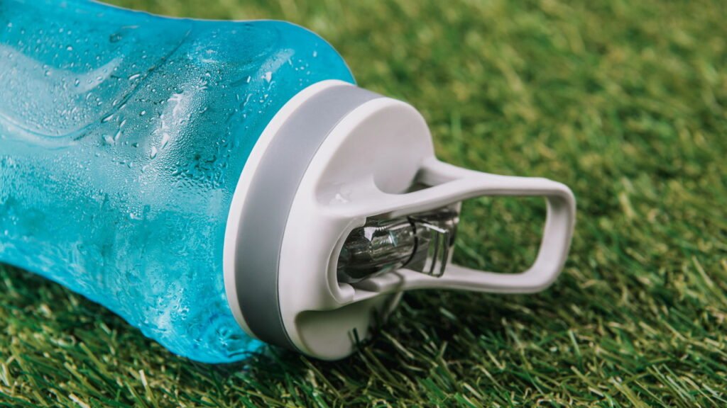 Por que sua garrafa de água pode ser uma cidade cheia de germes