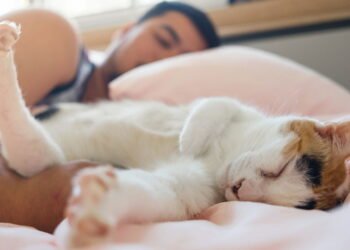 Segundo a psicologia, as pessoas que dormem na mesma cama que seus animais de estimação geralmente apresentam 7 características