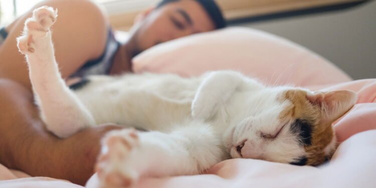 Segundo a psicologia, as pessoas que dormem na mesma cama que seus animais de estimação geralmente apresentam 7 características