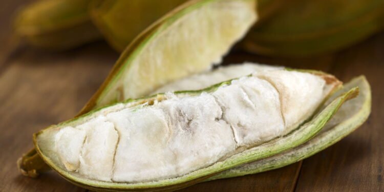 A fruta poderosa que faz bem para o fígado e para o intestino segundo a ciência