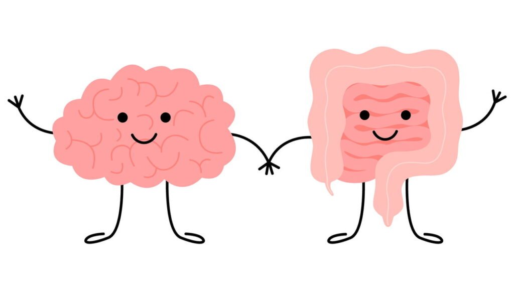 Você sabia que o intestino pode influenciar o cérebro?