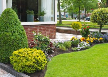 O que significa ter muitas plantas em casa segundo a psicologia