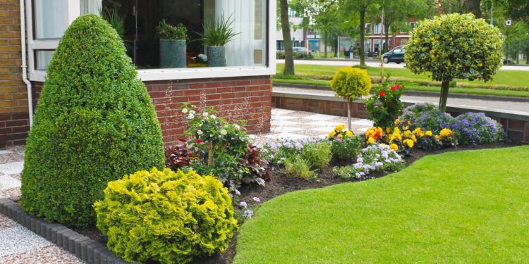 O que significa ter muitas plantas em casa segundo a psicologia