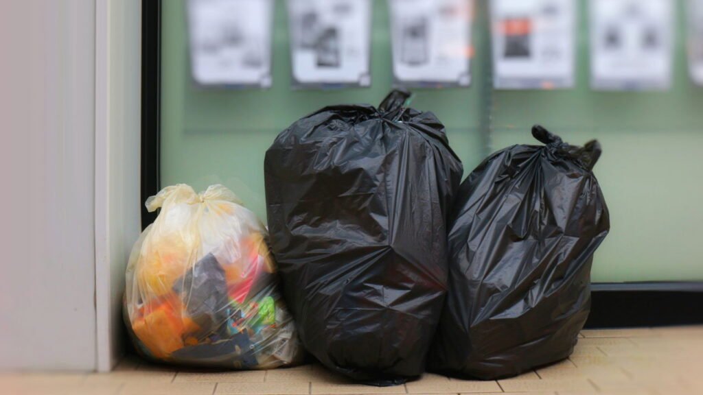 Esse não é o melhor jeito de eliminar o mau cheiro da lata de lixo, veja como fazer com um único ingrediente