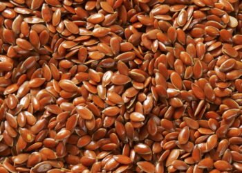 O impacto do consumo diário de linhaça na digestão e colesterol