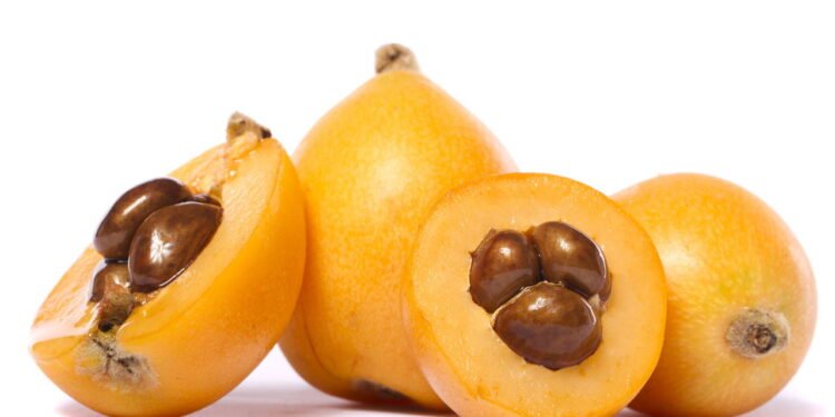 Nêspera - Créditos: depositphotos.com / membio