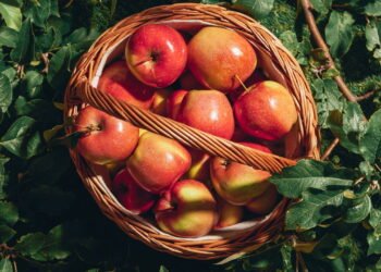 O subestimado benefício para a saúde de comer uma maçã por dia