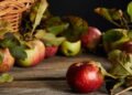 Os efeitos colaterais da maça e como aproveitar seus benefícios