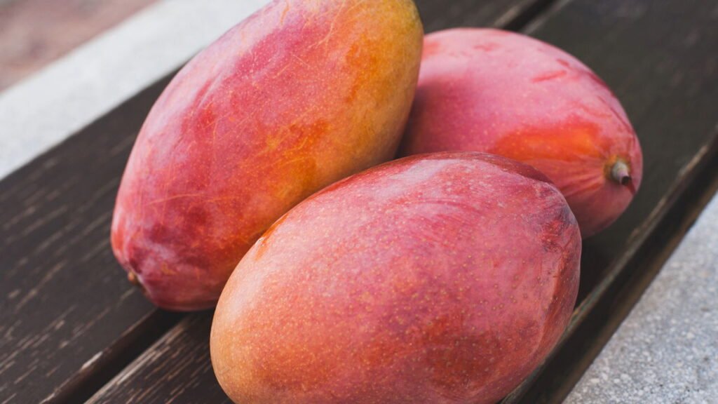 A mangueira precisa de pelo menos 6 a 8 horas de sol direto por dia.