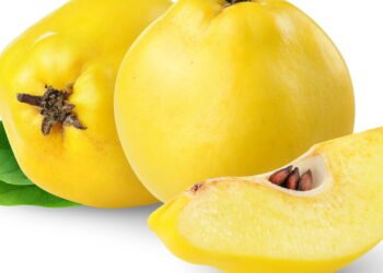 O fruto esquecido que pode transformar sua saúde digestiva