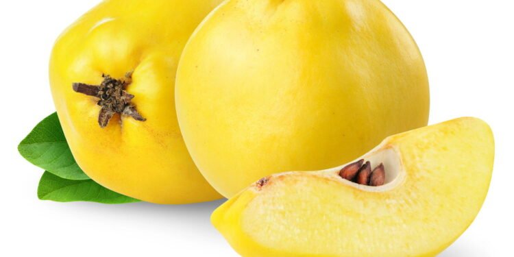 Marmelo - Créditos: depositphotos.com / photomaru