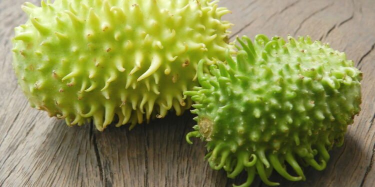 Benefícios desse tempero para o corpo e como incluir no dia a dia