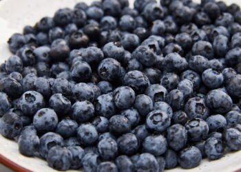 5 melhores frutas para melhorar sua saúde renal