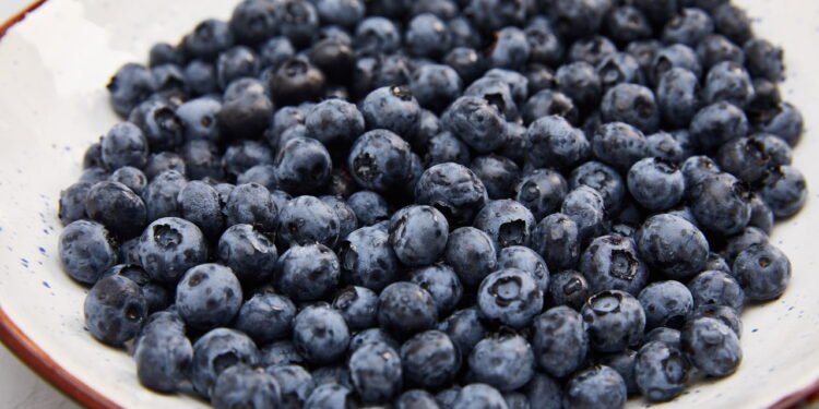 5 melhores frutas para melhorar sua saúde renal