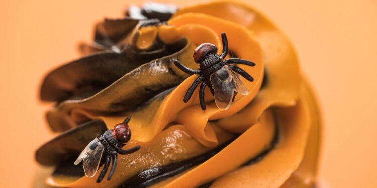 Cansado de lutar contra moscas-das-frutas na cozinha? Um especialista em insetos revela como combatê-las