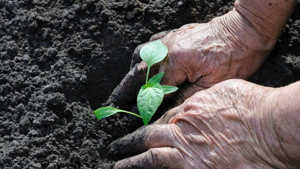 Uma faísca simples que pode explicar como a vida começou