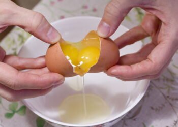 Poucas pessoas sabem: por que alguns ovos têm gemas duplas