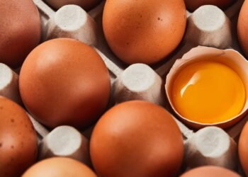 O que acontece com seu colesterol quando você come ovos todos os dias