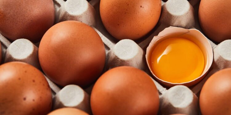 O que acontece com seu colesterol quando você come ovos todos os dias