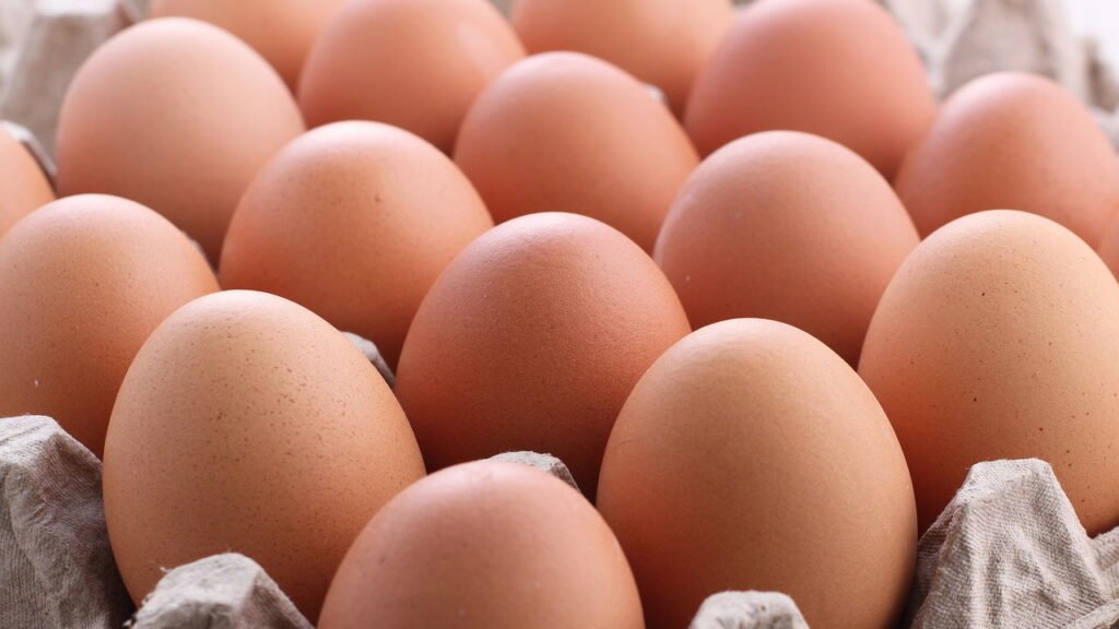 Poucos sabem: qual a diferença entre ovos brancos e marrons