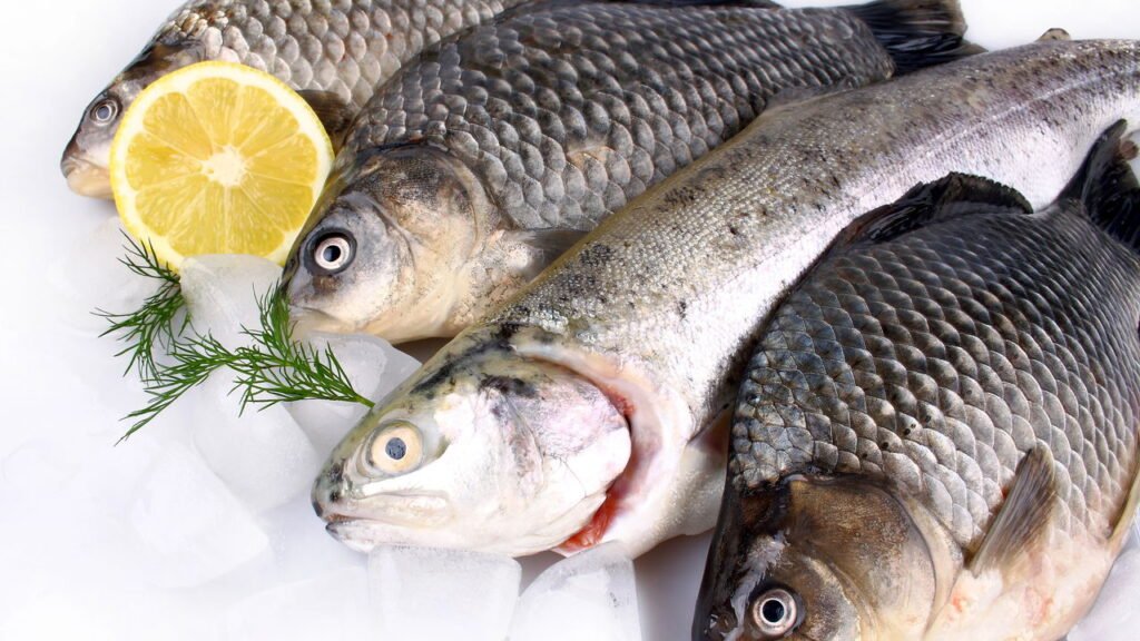 Aos 101 anos, ex-CEO revela os dois alimentos que evita para manter sua saúde