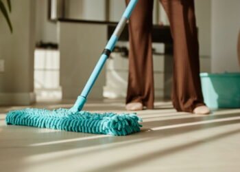 Como remover o cheiro de urina de gato da sua casa e evitar que ele contamine o ambiente