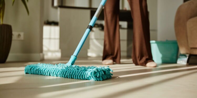 Como remover o cheiro de urina de gato da sua casa e evitar que ele contamine o ambiente