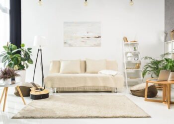 Suas plantas domésticas não sobreviverão nessas áreas da casa