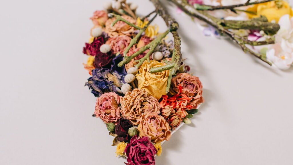 Os 3 produtos caseiros que secam as plantas imediatamente e você nunca deve usar